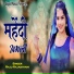 Raju Rajasthani