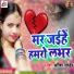 Anisha Pandey