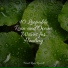 Rain for Deep Sleep, Loopable Rain, Wellness