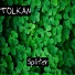 Tolkan