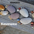 Артём Яковлев. Начинающий лошок.