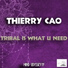 Thierry Cao