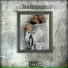 Branz Boid feat. MetRomio