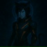 Cat Boy