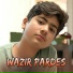 Wazir Pardes