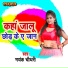 Mayank Chaudhari