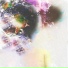 EMELIA