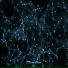Rick & Morty
