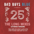 Bad Boys Blue Ms Project