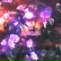 ZNTH
