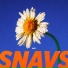 Snavs