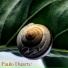 Paulo Duarte