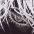 phonk killazz, SHINARI