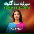 Said Meer