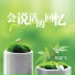 郑晓飞