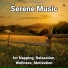 Quiet Music, Relaxing Music, Yoga