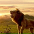 LIONX