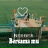 Bergek