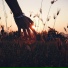Ahzura, CreativeWaves