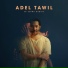 Adel Tawil