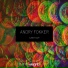 Andry Fokker