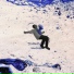 Icey acko