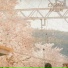 ESSXNCE