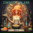 CIMBERLY CLARK