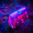 L ZuR$t