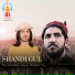 Shandi Gul