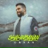 Shahin Banan
