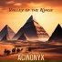 ACINONYX