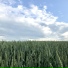 Кирилл Кудрин