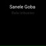 Sanele Goba, SMP