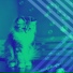 Превосходно Кошачья музыка