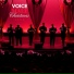Voice Male