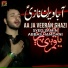Syed Zamin Abbas Hamdani