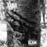 YZBA