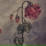 sadrose