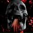 Radreed