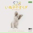 ACOON HIBINO