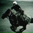 ROMA JONSON, Daniel Teed, Knewse