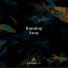 Another Soul, Carles feat. X.V