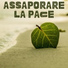Christophe Gauthier
