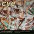 cye The Band