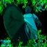P$447, Stevn Og Beats feat. FUMEX