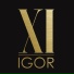 iGOR