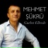 Mehmet Şükrü