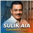 Gamawan Fauzi