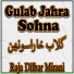 Raja Dilbar Mirani